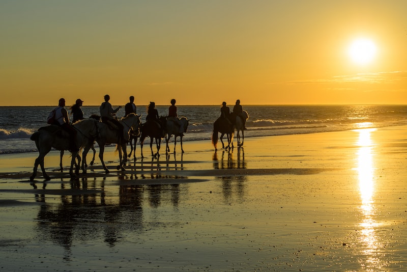 Riding horses at Mornington Peninsula - Fun things to do in Australia