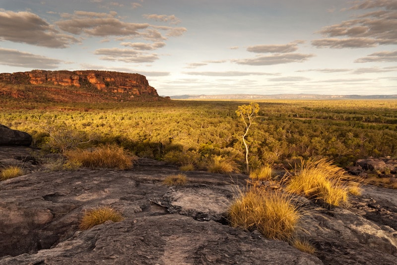 Kakadu National Park - Fun things to do in Australia