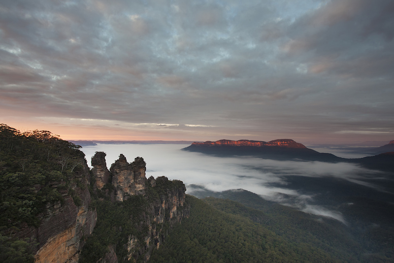 Le parc national des montagnes bleues - Que faire en Australie Le parc national des montagnes bleues - Que faire en Australie