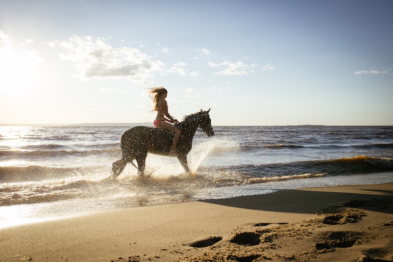à cheval sur la Mornington Peninsula - Que faire en Australie à cheval sur la Mornington Peninsula - Que faire en Australie
