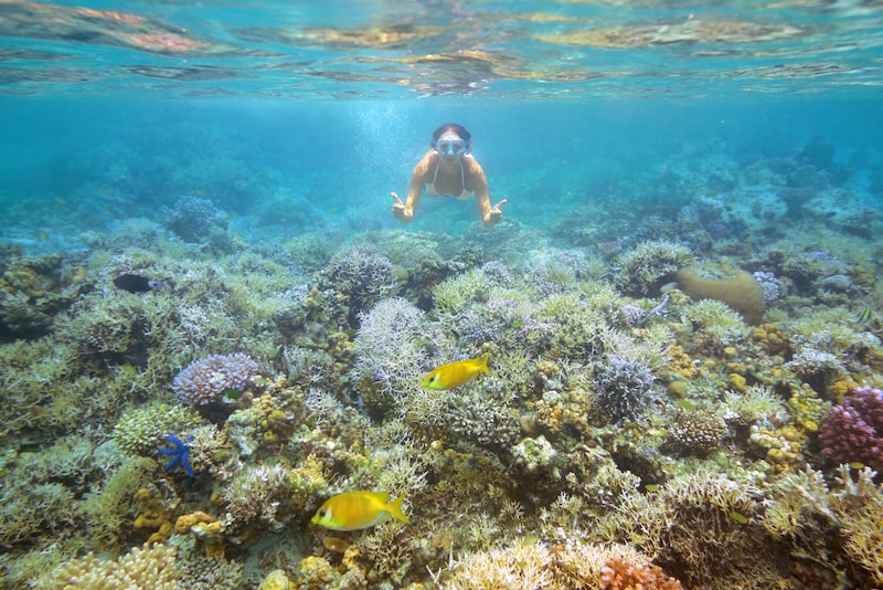 Jomalig - isole in Asia