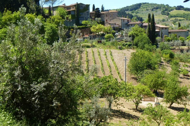 Tagesausflüge nach Florenz