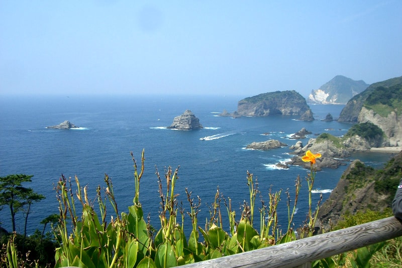 Izu Oshima Tagesausflüge von Tokio