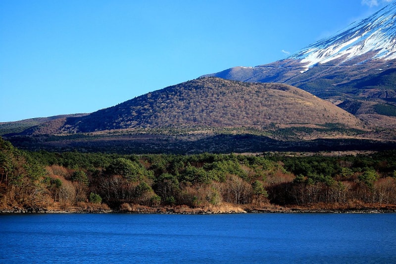 Motosu-Tagesausflüge von Tokio aus Tagesausflüge von Tokio aus