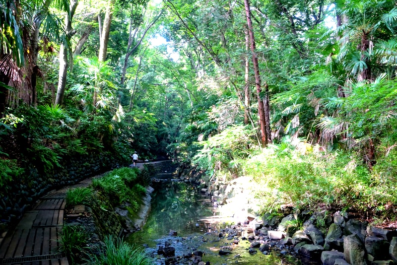 Tagesausflüge nach Todoroki Valley von Tokio aus