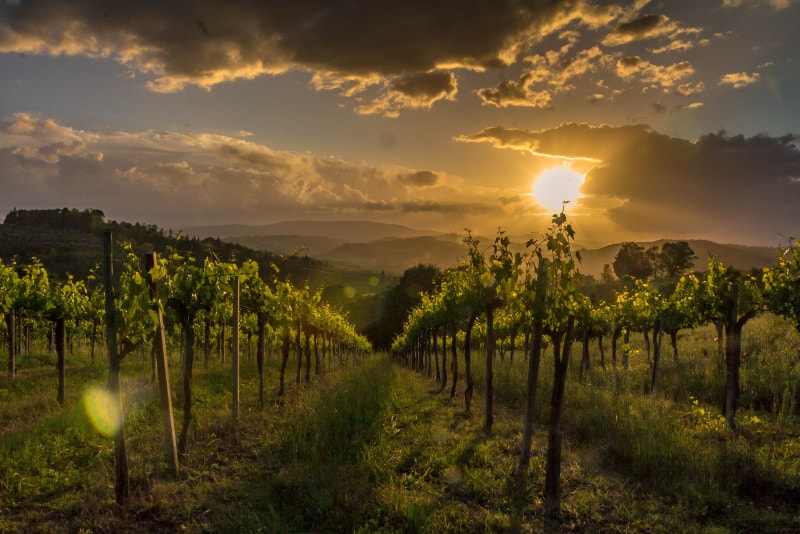 Chianti - Tuscany wine tours Chianti - Tuscany wine tours