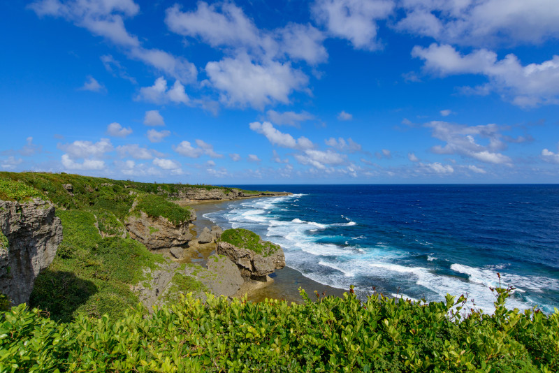 Jogashima excursion depuis Tokyo Jogashima excursion depuis Tokyo