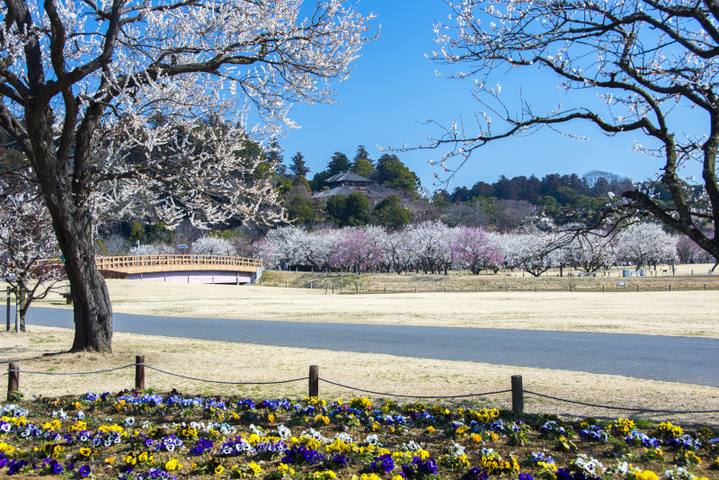Mito Mito escursioni da Tokyo