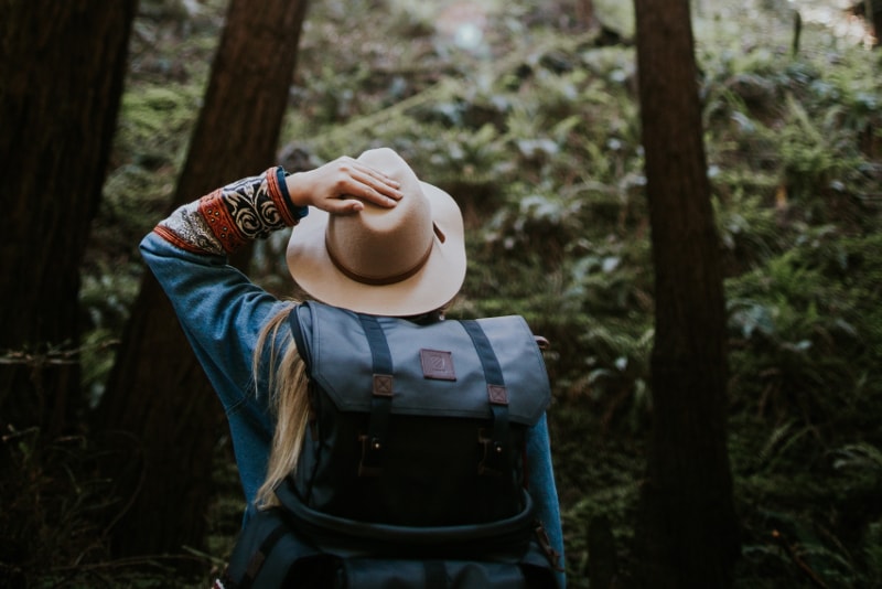 Muir Woods - Que faire