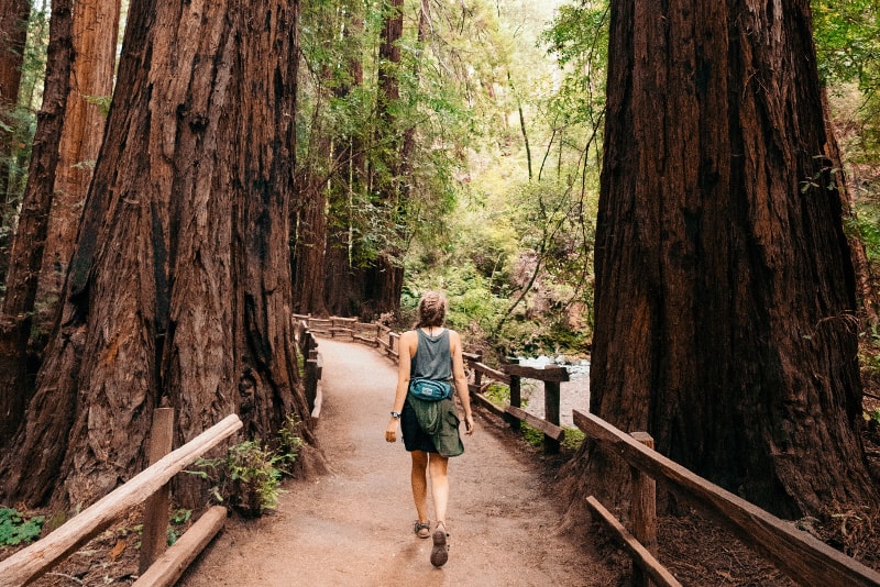 Randonnées à Muir Woods