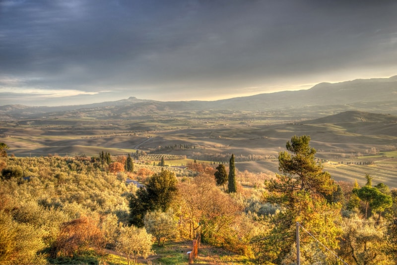 Pienza - Tuscany wine tours Pienza - Tuscany wine tours