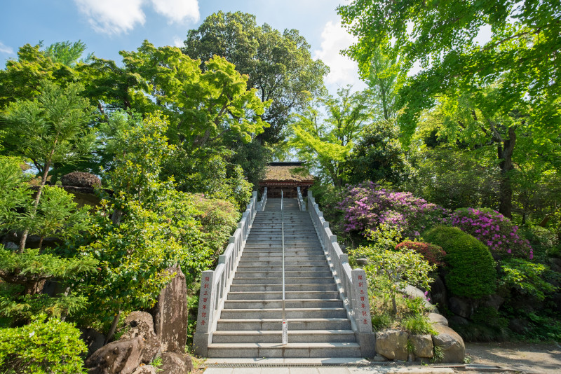 Takasaki Takasaki escursioni da Tokyo