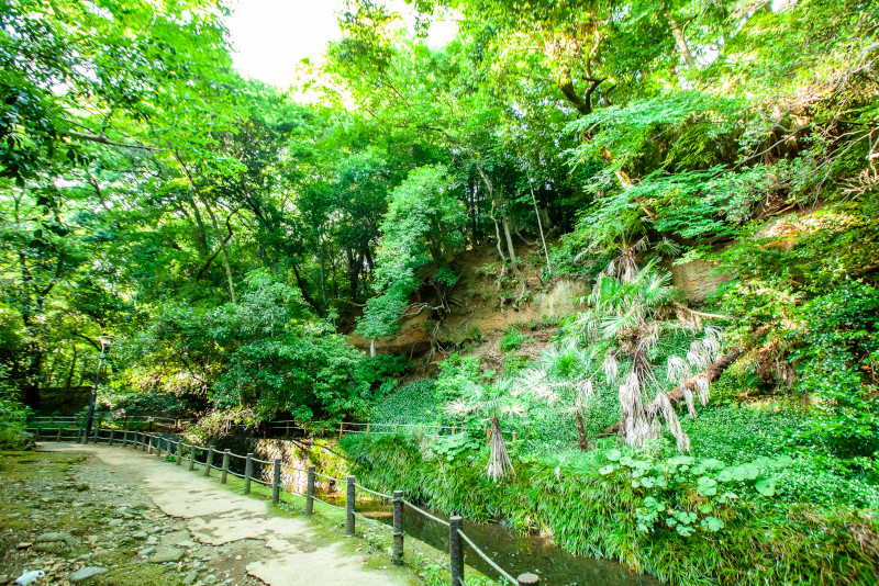 Todoroki Todoroki escursioni da Tokyo