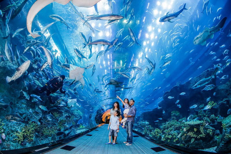 Dubai Aquarium & Underwater Zoo 