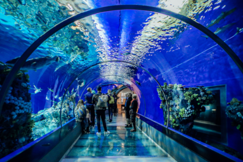 Shanghai Aquarium