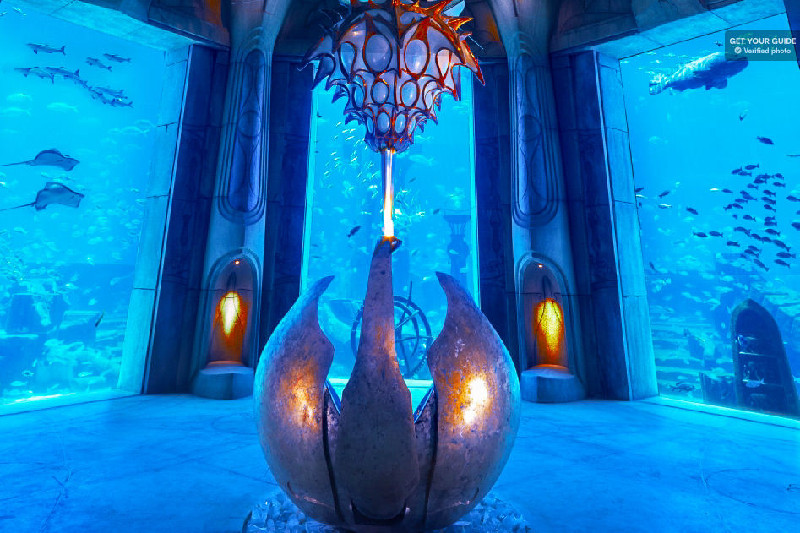 Lost Chambers Aquarium