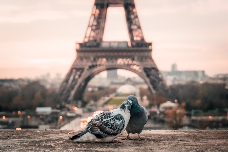 Paris 