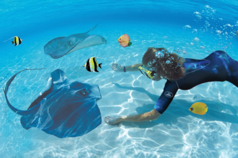 Long Island Pirate Snorkel 