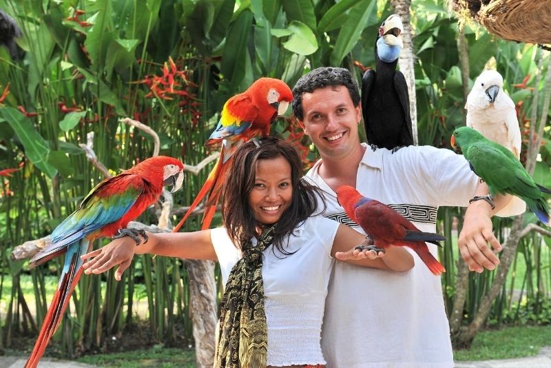 Bali Bird Park, Bali, Indonesia Bali Bird Park, Bali, Indonesia - #17 best places to visit in South Bali