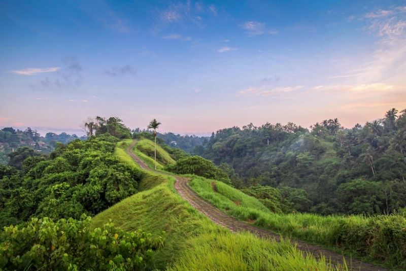 Campuhan Ridge, Bali, Indonesia Campuhan Ridge, Bali, Indonesia - #32 best places to visit in Central Bali