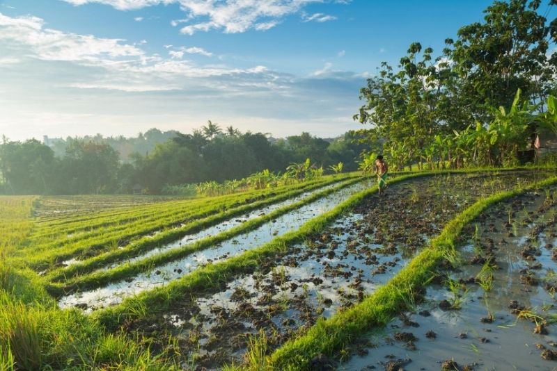 Canggu, Bali, Indonesia Canggu, Bali, Indonesia - #4 best places to visit in South Bali