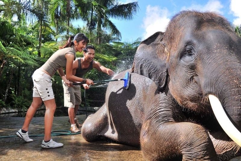 Mason Adventures Park, Bali, Indonesia Mason Adventures Park, Bali, Indonesia - #21 best places to visit in South Bali