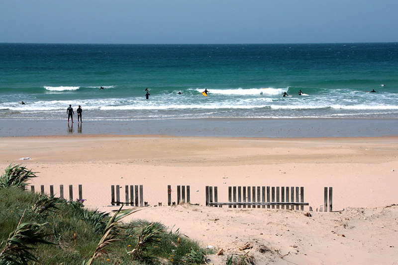 Der Palmar Der Palmar