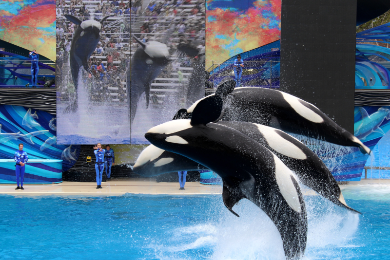 SeaWorld San Diego #9 theme parks in California