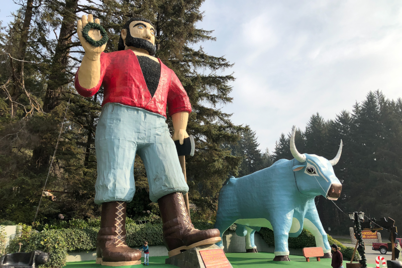 Trees of Mystery #26 theme parks in California