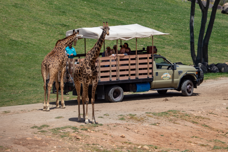 San Diego Zoo Safari Park #10 theme parks in California