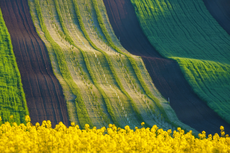 Tagesausflüge in die Weinregion Südmähren ab Prag