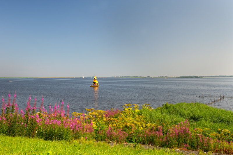 Lauwersmeer Tagesausflüge nach Lauwersmeer ab Amsterdam