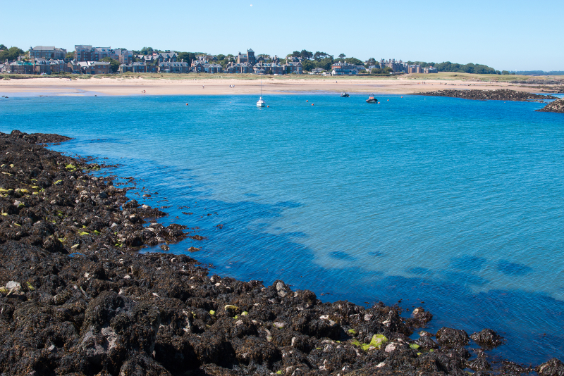 North Berwick - Tagesausflüge von Edinburgh