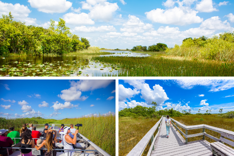 Orlando: 2-stündige Airboat Everglades Tour
