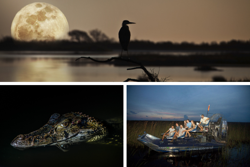 Sawgrass Recreation Park: 1-stündige Airboat-Nachttour