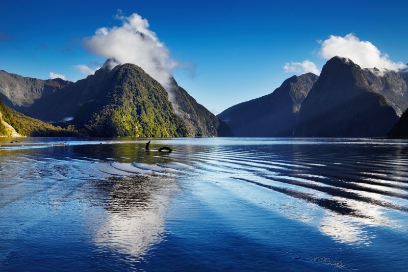 MIldorf Sound fiord, New Zealand
