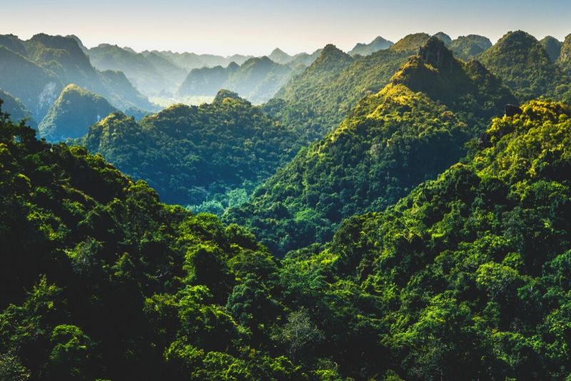 Cat Ba National Park, Vietnam Cat Ba National Park, Vietnam - best national parks in the world