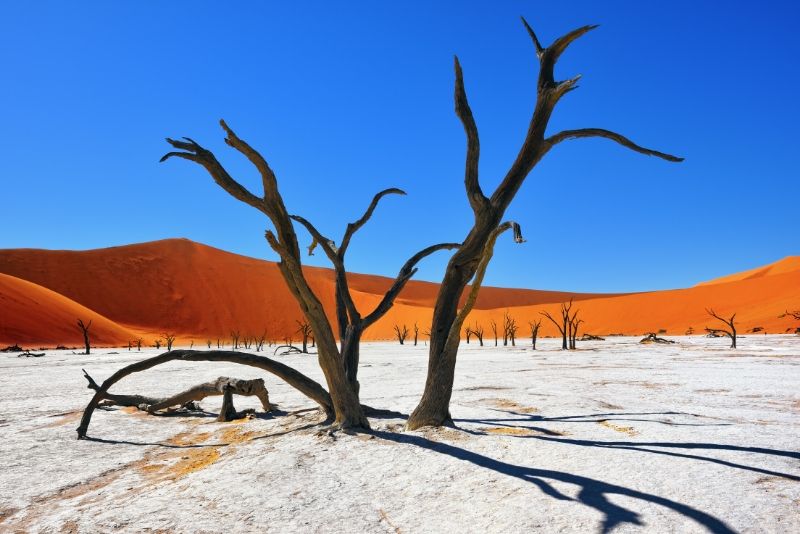 Namib-Naukluft National Park, Namibia Namib-Naukluft National Park, Namibia - best national parks in the world