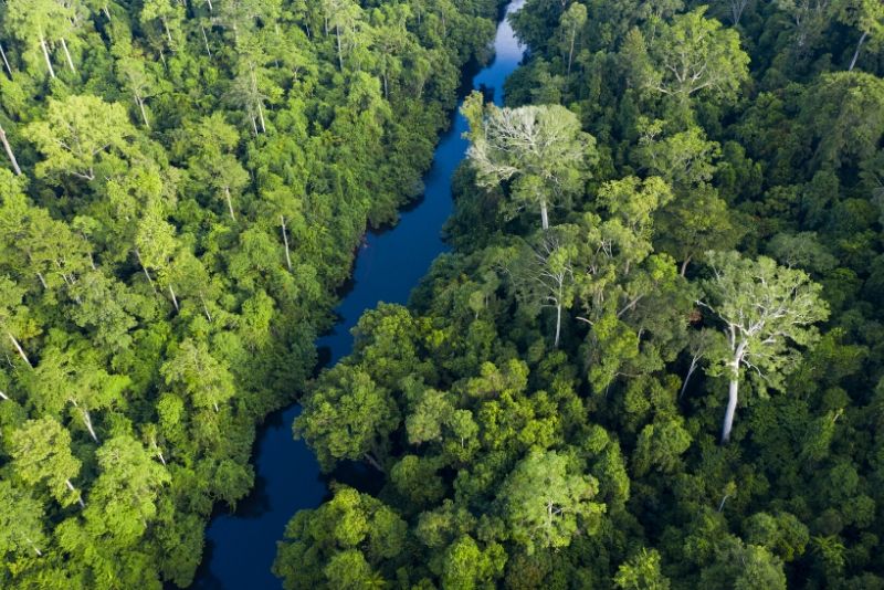 Taman Negara National Park, Malaysia Taman Negara National Park, Malaysia - best national parks in the world