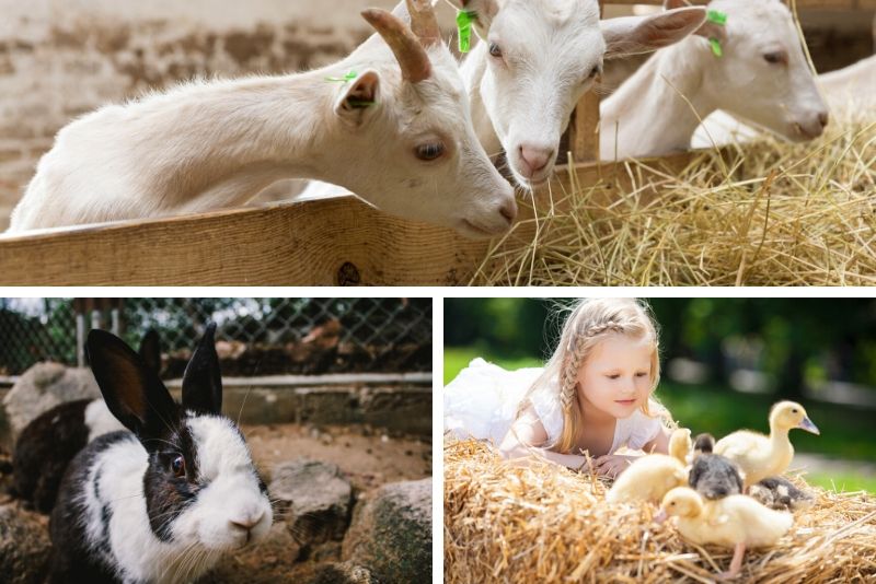 Les fermes de Gally