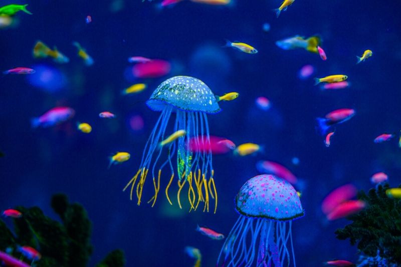 National Aquarium, United States - #47 best aquariums in the world