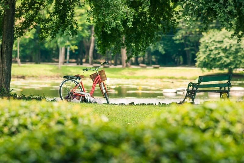 Sorties autour de Paris au parc départemental Georges-Valbon