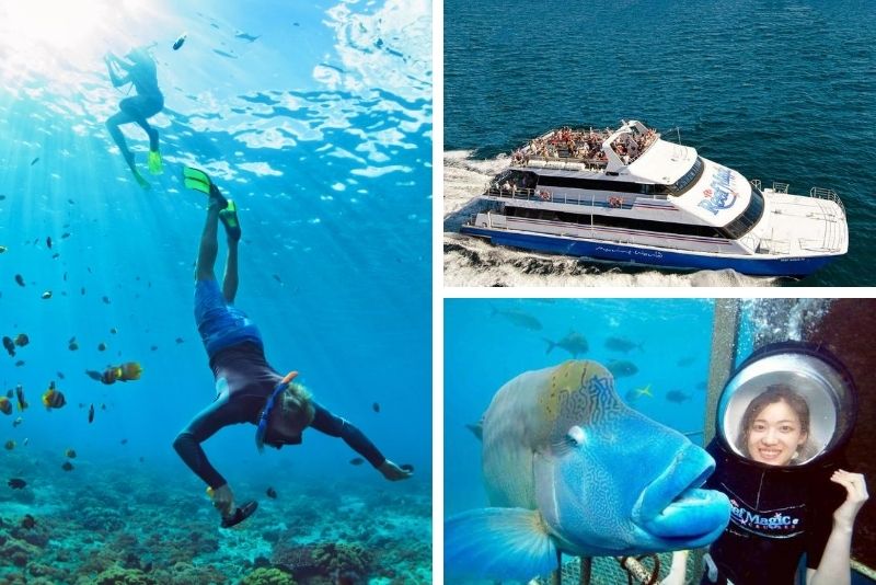 Ultimate Great Barrier Reef Cruise with Marine World Pontoon