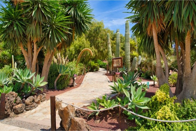 Rancho Texas Lanzarote