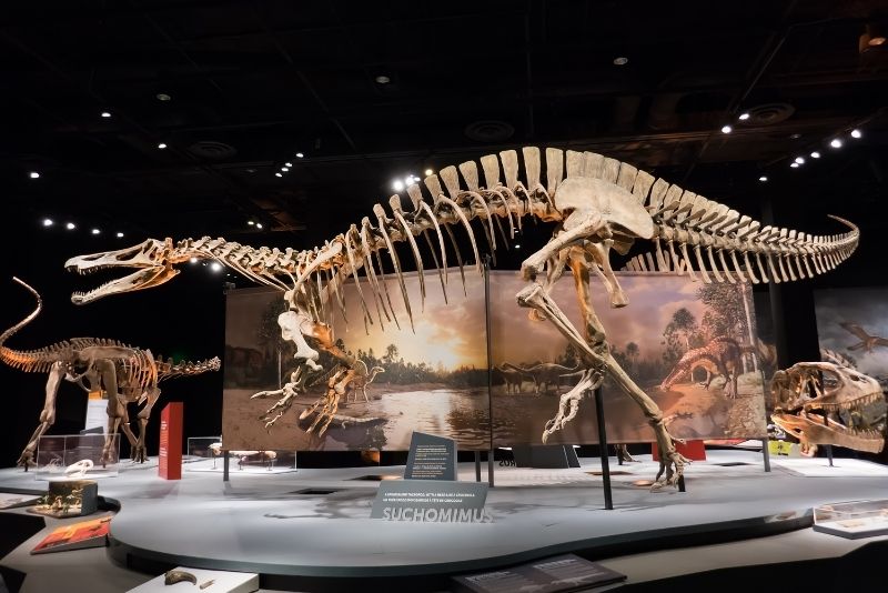 Perot Museum of Nature and Science, Dallas