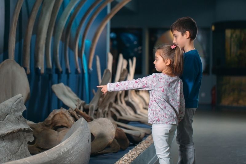 Museum für prähistorische Anthropologie von Monaco