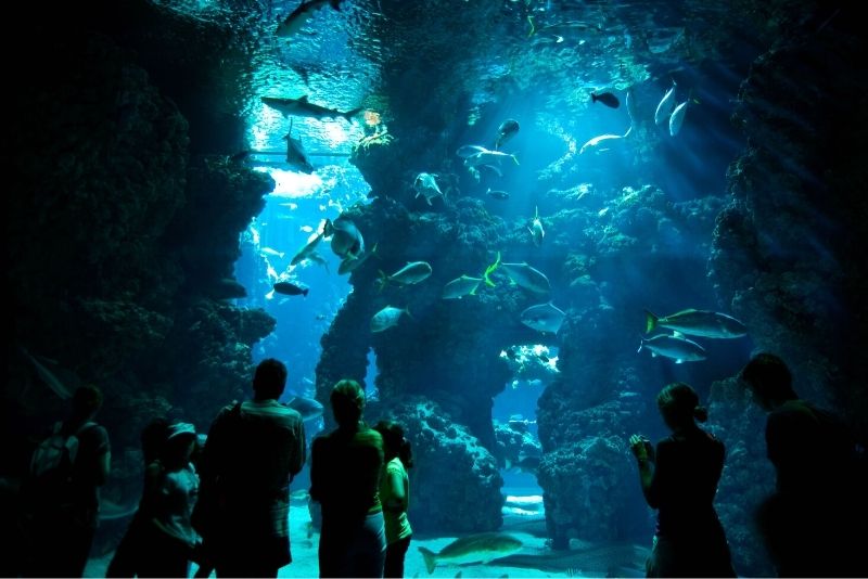 Oceanographic Museum, Monaco