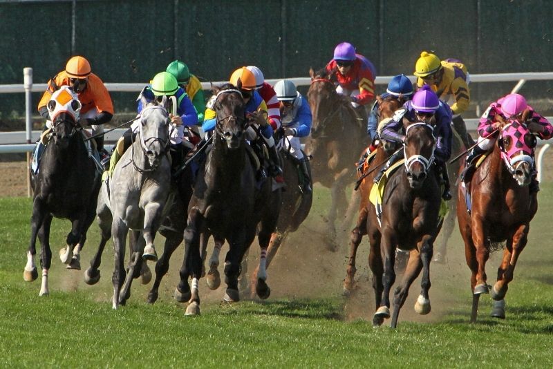 Belmont Park Racetrack, Long Island