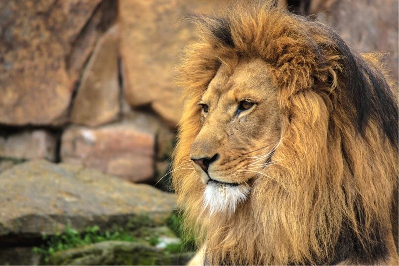 Fort Worth Zoo, Texas