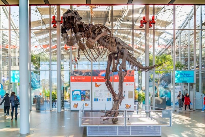 California Academy of Sciences, San Francisco, California